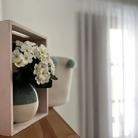 Apartamento Muy Centrico En Granada Eksteriør billede