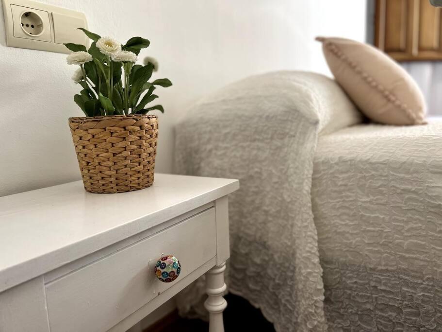 Apartamento Muy Centrico En Granada Eksteriør billede